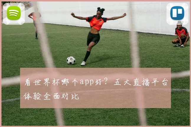 看世界杯哪个app好？五大直播平台体验全面对比