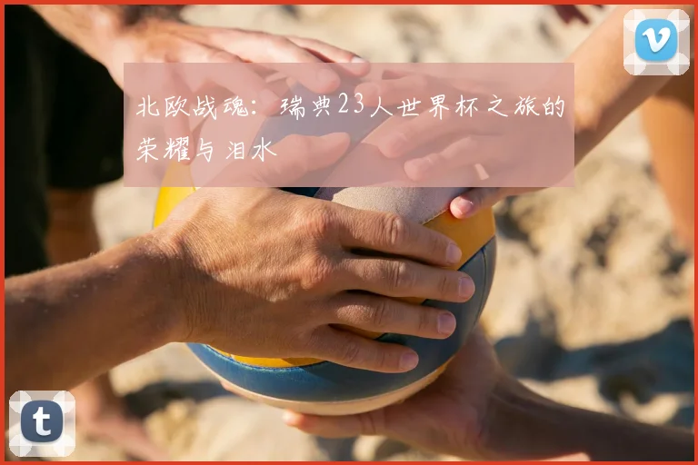 北欧战魂：瑞典23人世界杯之旅的荣耀与泪水