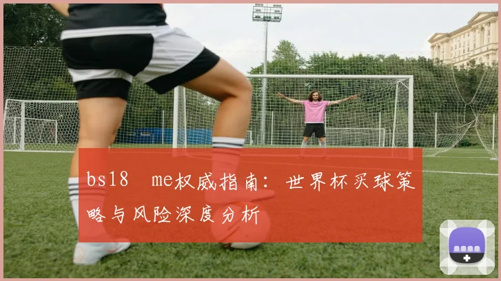 bs18婰me权威指南：世界杯买球策略与风险深度分析