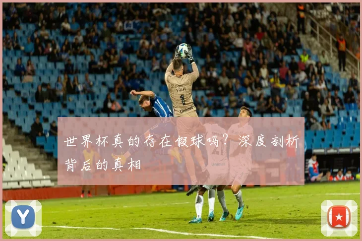 世界杯真的存在假球吗？深度剖析背后的真相