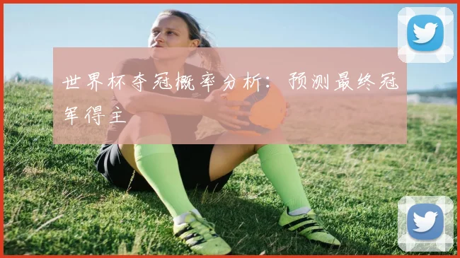 世界杯夺冠概率分析：预测最终冠军得主